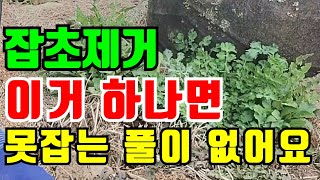 이거 하나만 있으면 잡초뿐 아니라 잔디,나무까지 쉽게 제거 가능한 만능 농기구