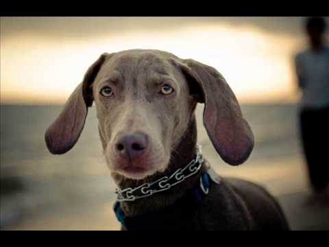 Ole Biege - Tasted Wime (Original Mix)