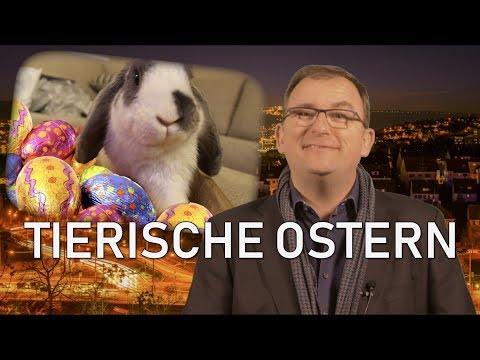 KERN-SÄTZE #10: TIERISCHE OSTERN