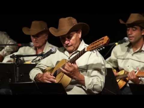 Cuitelinho - Orquestra de Viola de Garça