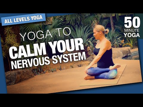Yoga to Calm Your Nervous System - Five Parks Yoga - 45 Minute Class
