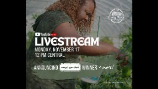 Vego Giveaway Announcement!!