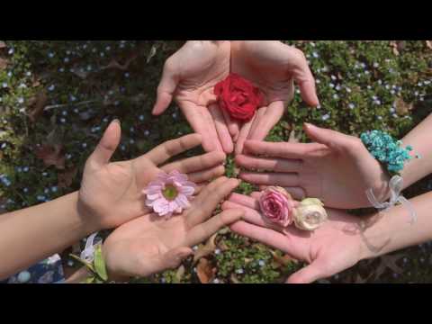 바버렛츠 The Barberettes - 봄, 곰 Spring, Bear [Official Music Video]
