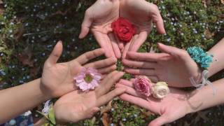 바버렛츠 The Barberettes - 봄, 곰 Spring, Bear [Official Music Video]