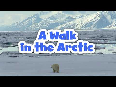 A Walk in the Arctic