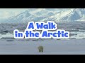 A Walk In The Arctic For Kids Educational Video For Early Learners