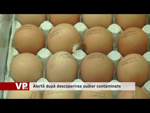 Alertă după descoperirea ouălor contaminate
