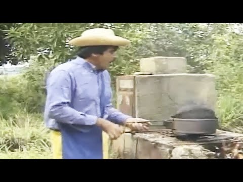 IMBILINO TORRANDO CAFÉ, OLHA O QUE ACONTECEU! 😂 (TRECHO DO FILME IMBILINO 2: A LUA E O DENTE)