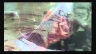 John Williamson - Rip Rip Woodchip