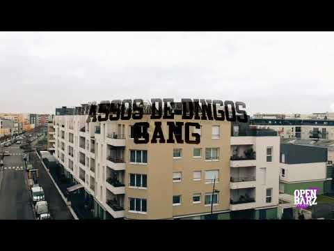 Assos de dingos- l'histoire se répète - open barz