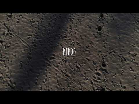 Crepite Collective - La Volière 2018