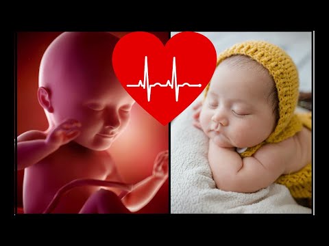 Biały Szum, Wody Płodowe I Bicie Serca. To Słyszy Dziecko W Brzuchu Matki Prenatal Sounds | DR JENNY
