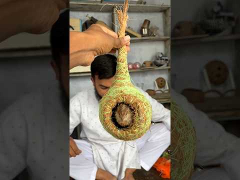 Turning a Coconut into a Beautiful Bird Nest | Complete Making Process. #shorts