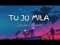 Tu Jo Mila K K Pritam Slowed Reverb Music Therapy Bajrangi Bhaijaan