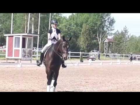 foxfire blitz wizard II 20170611ticklen video 1497181432