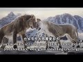 Mufasa The Lion King Tell Me It S You Cantonese Chinese Subs Trans