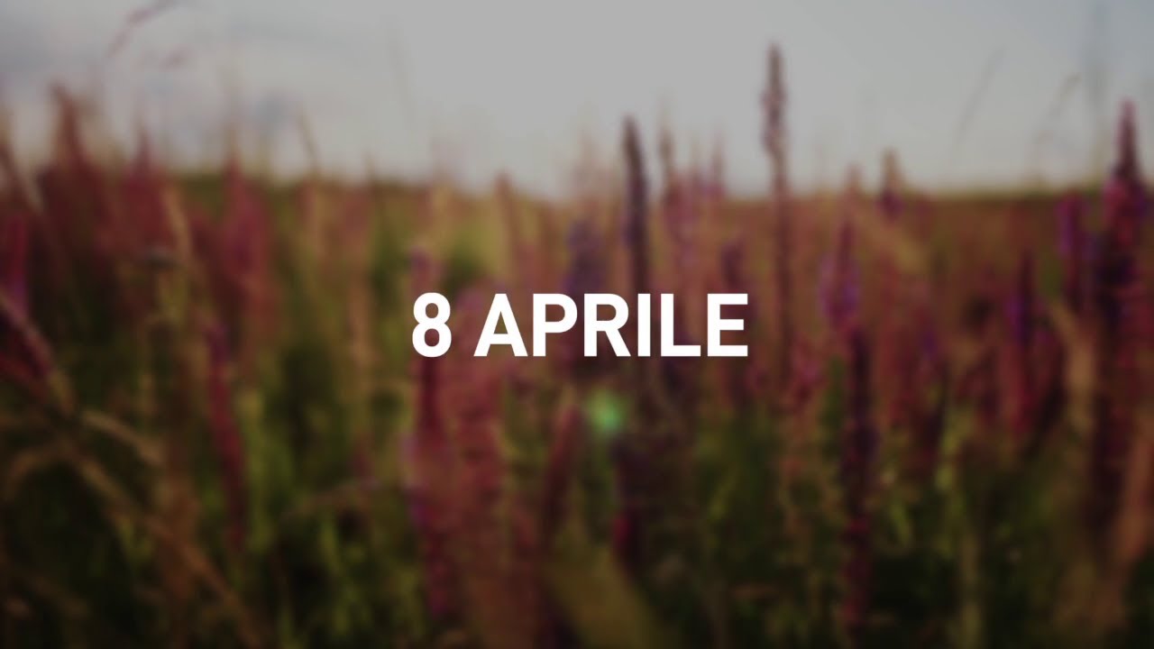 8 Aprile 2025 | Meditazione Parole di Vita