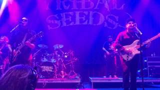 Tribal Seeds - Rude Girl live at the Brooklyn Bowl, Las Vegas 3/12/2017