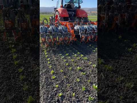 Autonomous Weeder Vulcan in Action || Made By FarmWise California || #shorts #autonomous
