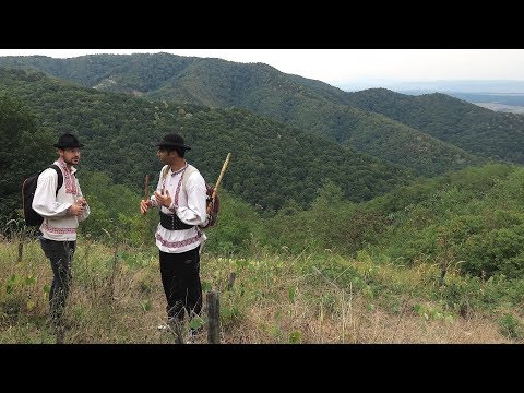 Mierla Neagra, muzica arhaica pe Magura Simleului