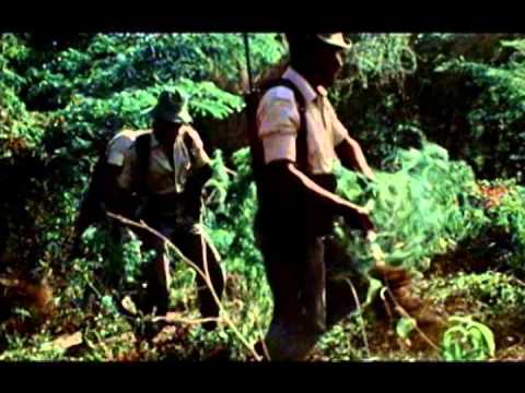 Jimmy Cliff "The Harder They Come" from the film