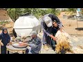 Washing And Grooming Sheep With Grandma Shearing Wool Using Traditional Methods