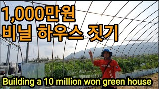 천만원 비닐하우스 짓기 Building a 10 million won green house.