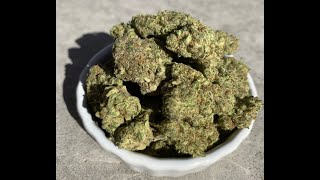 Runtz cannabis strain