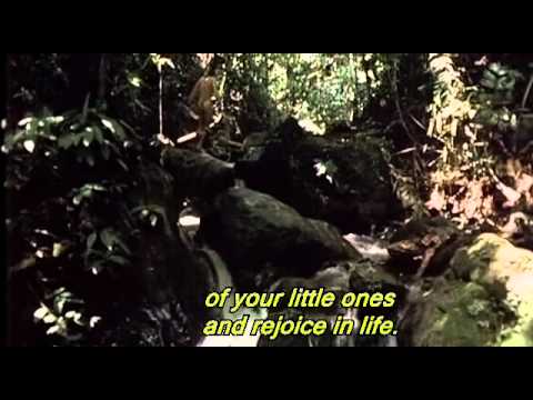 Bruno Manser - Laki Penan (Eng subs) 3/7