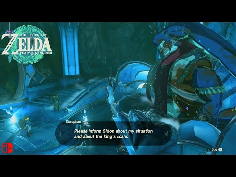 Legend Zelda Tears of Kingdom - King Dorephan on Waterfall Pristine Sanctum & Lanayru GS