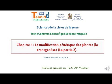 , title : 'Chapitre 4  La modification génétique des plantes la transgénèse    partie 2'