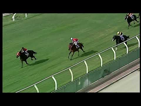 Napoli Galoppo 25/06/2021 - 1ª corsa