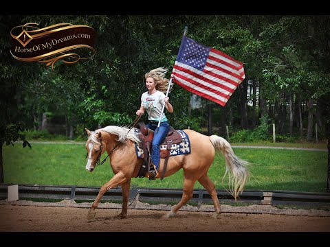 Montana-AQHA Golden Palomino by Shiners Voodoo Dr!