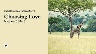 Choosing Love   – Daily Devotional