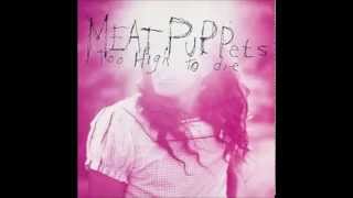 Meat Puppets - Things