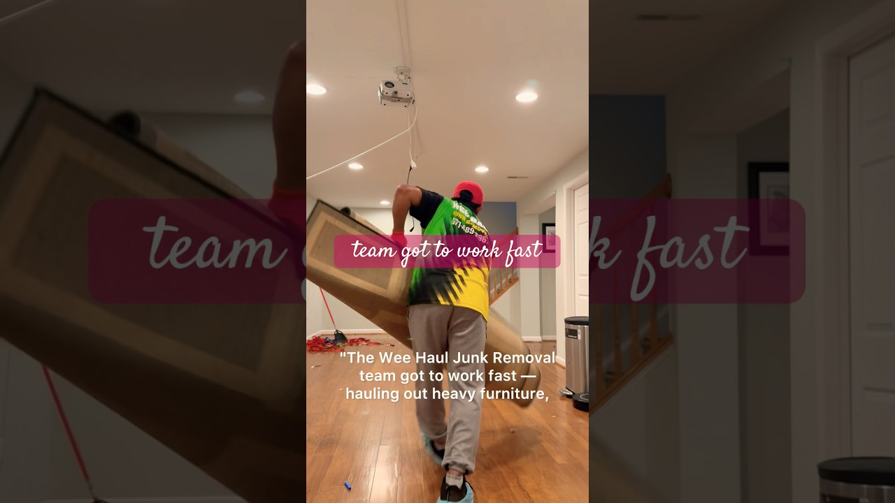 Professional Basement Cleanout and Cleanup Process - Wee Haul