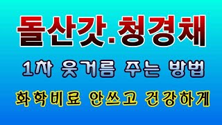 [텃밭농부. 1,258]  돌산갓. 청경채 1차 웃거름 주는 방법. #돌산갓재배 #청경채재배
