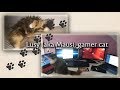Lusy Gamer Cat