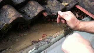 The reason for underfelt support tray(eave skirt or eaves guard) by gutterman