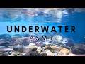 Immersive ASMR Underwater Trickles And Bubbling To Soothe Your Mind 4K