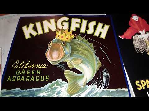 Dajos Bela Dance Orchestra   I'm looking for something