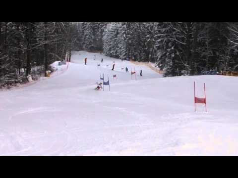 Kyselova Adela 12 1 2013