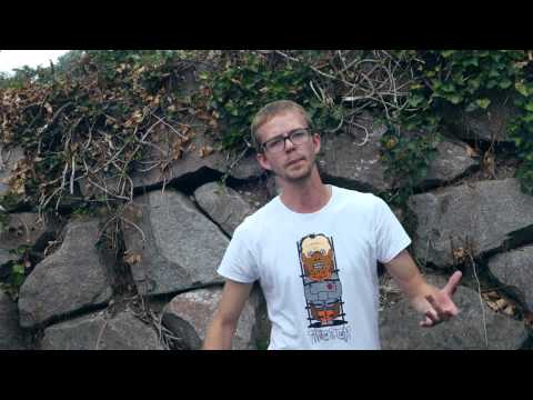 Paradoggs vs. Insomnia - Swiss VBT 2015 4tel HR