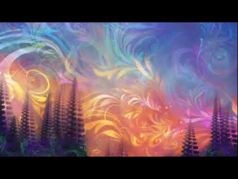 Oblix & Fischmehl - Psy Liv Room #7 Live Session