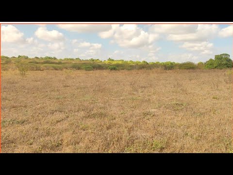 Imóvel a venda R$ 150.mil 12 tarefas.  Lagoa nova, Estrela de Alagoas. AL. 21/01/2026. 82.98217-5389