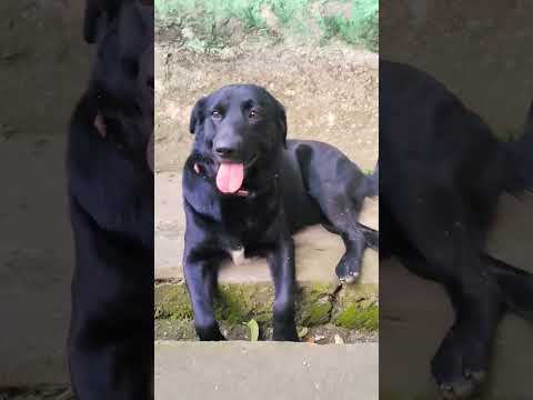 hot hot temperature at lohit