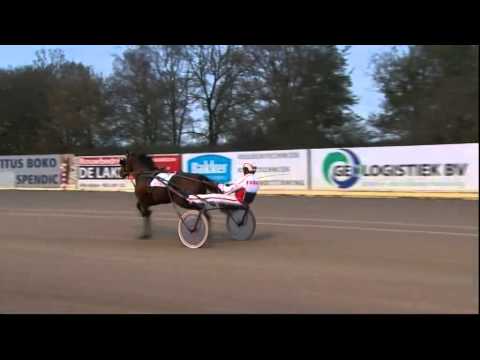 Victoria Park Wolvega 12-11-2014 BREEDERS CROWN F HENGSTEN RUINS FARAO F BOKO - R. BAKKER (NB)