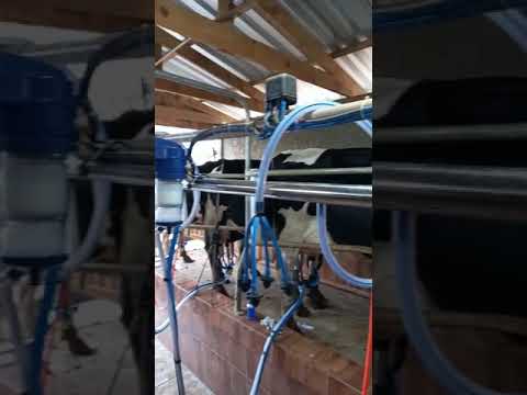 medidor de leite gelmeza