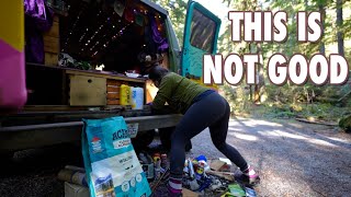 Dealing with MOLD & Moisture 😱 + Van Maintenance 🔧