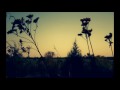 Bonobo - Change Down